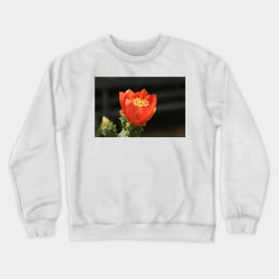 Red flower Crewneck Sweatshirt